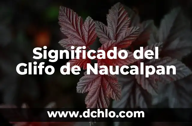Signos de Yoga y su Significado: Un Viaje al Equilibrio Interior 6 Significado del Glifo de Naucalpan