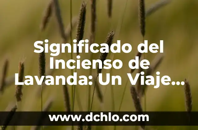 Baño de Pitch - Significado y Propiedades 6 Significado del Incienso de Lavanda: Un Viaje a Través de Sus Propiedades y Beneficios
