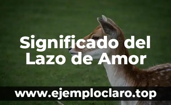 Significado de las Normas Sociales 8 Significado del Lazo de Amor