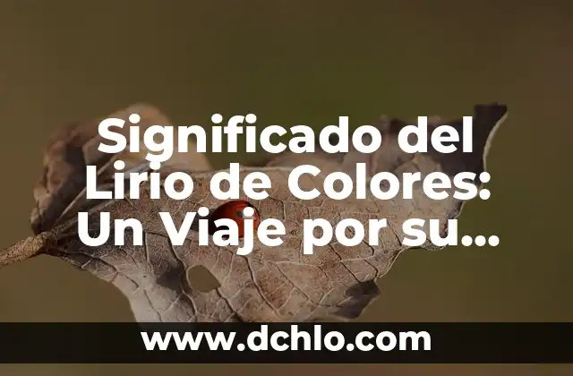 MySQL - Significado de sus iniciales 3 Significado del Lirio de Colores: Un Viaje por su Simbolismo