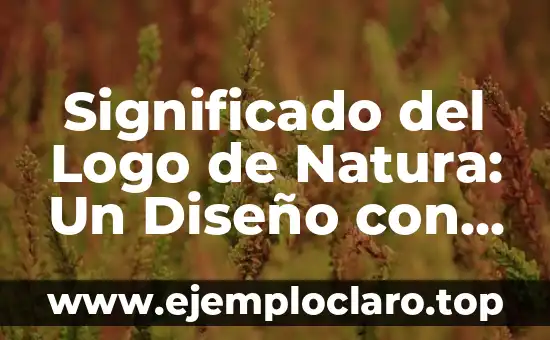 Significado del Logo de Natura: Un Diseño con Profundo Simbolismo