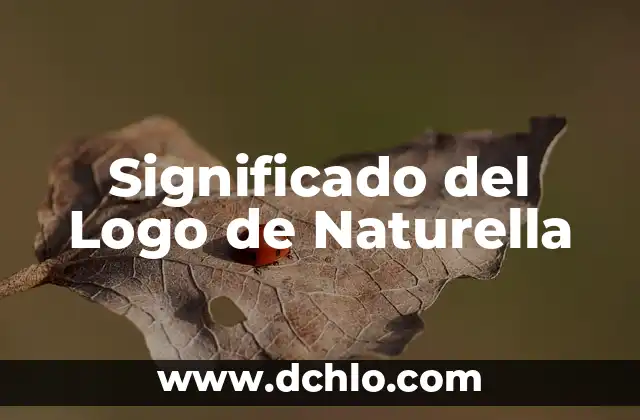 Significado del Logo de NASA: Descubre su Historia y Simbolismo 8 Significado del Logo de Naturella