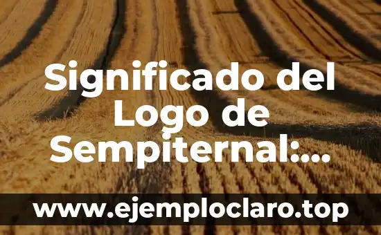 Tatuajes de búhos para mujeres: Descubre su significado y simbolismo 4 Significado del Logo de Sempiternal: Un Análisis Detallado