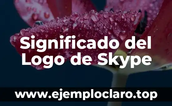 El Simbolismo del Logo de Saltodeagua 8 Significado del Logo de Skype