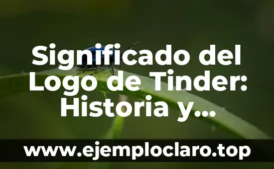 Primer Juego en el que Aparece Mario: Descubre el Origen del Icono 5 Significado del Logo de Tinder: Historia y Simbolismo Detrás del Ícono
