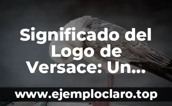 Significado del Logo de Versace: Un Icono de la Moda