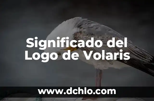 Significado del Municipio de Otumba 5 Significado del Logo de Volaris