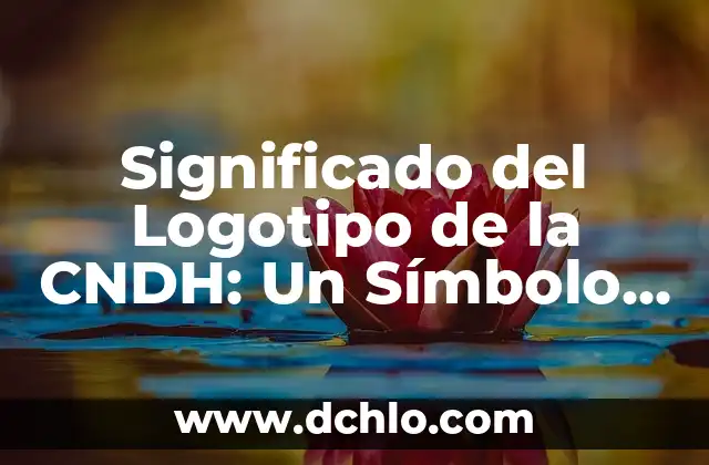 Significado del Logotipo de Citibanamex 6 Significado del Logotipo de la CNDH: Un Símbolo de Protección y Justicia