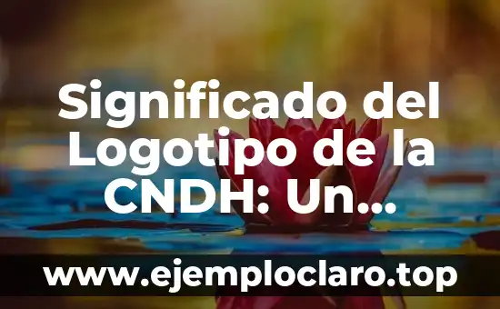 Significado del Logotipo de la CNDH: Un Símbolo de Protección y Justicia