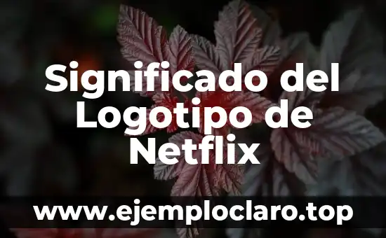 Significado del Logotipo de Netflix