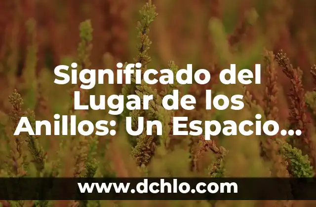El Disfraz de Diabla: Un Simbólico Traje de Fuego 6 Significado del Lugar de los Anillos: Un Espacio Simbólico