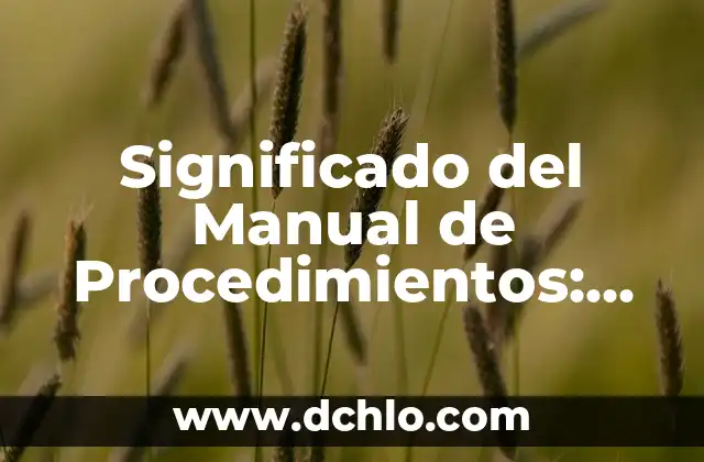 Tatuajes de Lobos: Simbolismo y Significado en Hombres 5 Significado del Manual de Procedimientos: La Guía Esencial para la Eficacia Empresarial