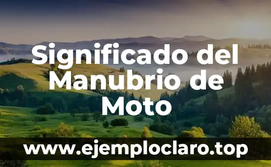 Significado del Manubrio de Moto