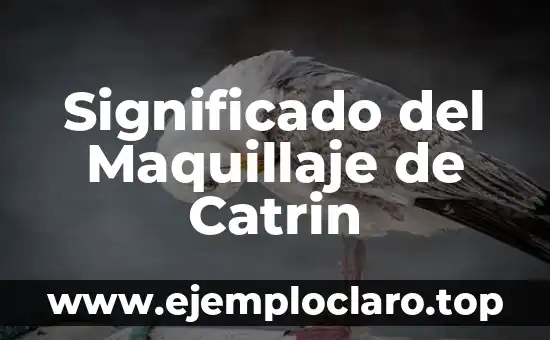 Significado del Maquillaje de Catrin