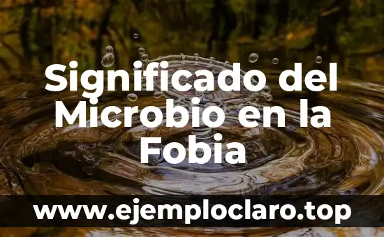 El significado de infestar 6 Significado del Microbio en la Fobia