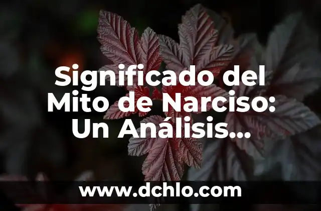 El significado de Mirza: Un término con múltiples facetas 3 Significado del Mito de Narciso: Un Análisis Profundo