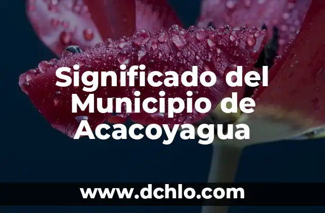 El significado del municipio de Acámbaro: Una ventana a su historia y cultura 7 Significado del Municipio de Acacoyagua