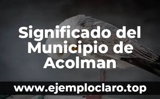 Significado del Municipio de Acolman