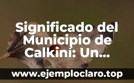 Significado del Municipio de Calkiní: Un Recorrido Histórico y Cultural