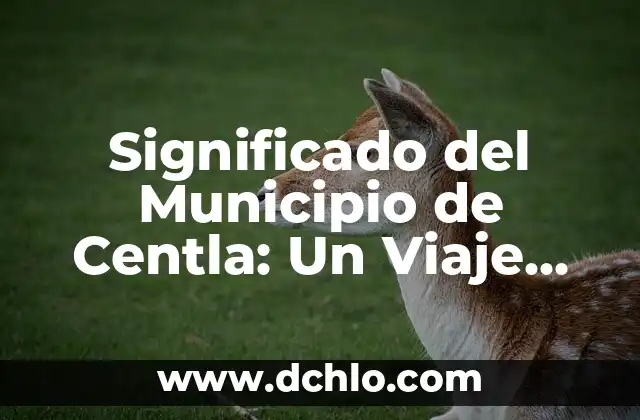 Melcocha o Melancolía: Un Viaje al Corazón de la Emoción 8 Significado del Municipio de Centla: Un Viaje por su Historia y Cultura