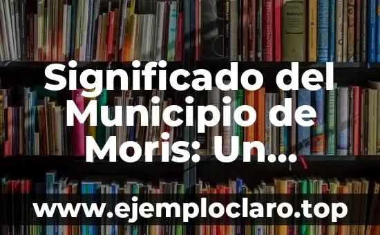 Significado del Municipio de Moris: Un Enfoque Integral