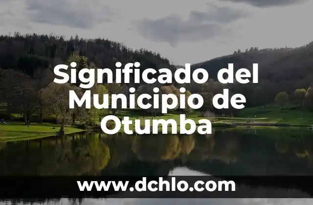 Tatuajes de Estrellas para Hombres: Significado y Diseños 3 Significado del Municipio de Otumba