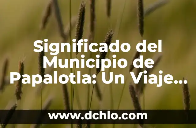 Significado del Municipio de Otumba 6 Significado del Municipio de Papalotla: Un Viaje por su Historia y Cultura