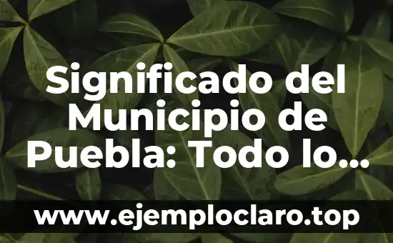 Significado del Municipio de Puebla: Todo lo que Necesitas Saber