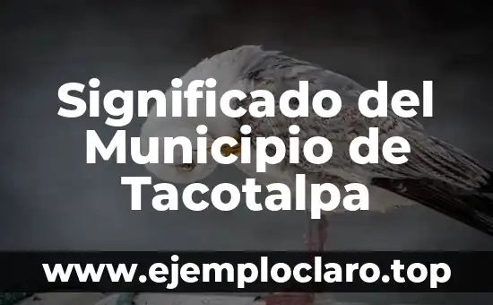 Significado del Municipio de Tacotalpa