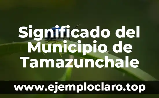 Significado del Municipio de Tamazunchale