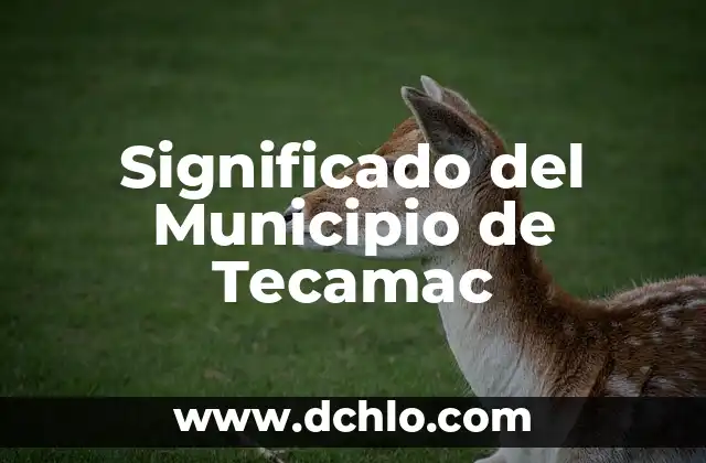 El significado del municipio de Acámbaro: Una ventana a su historia y cultura 5 Significado del Municipio de Tecamac
