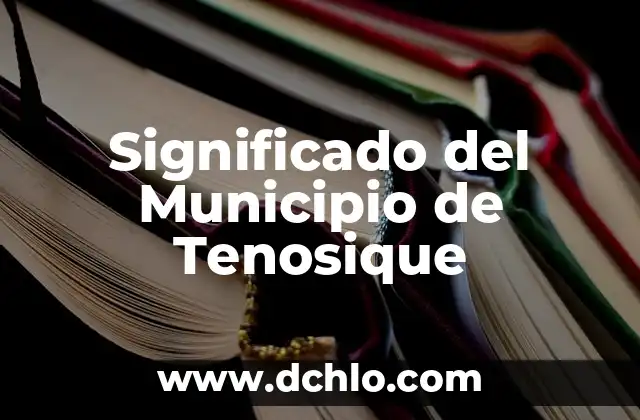 Significado del Municipio de Centroa 6 Significado del Municipio de Tenosique