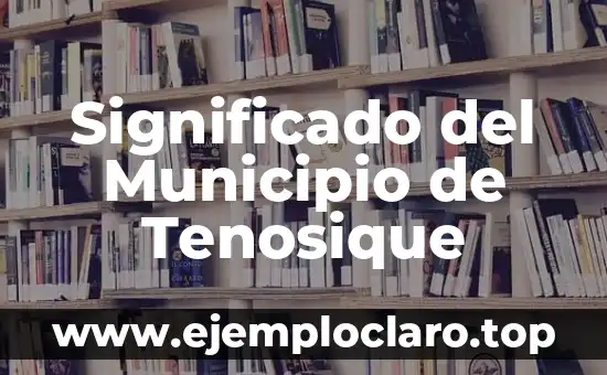 Significado del Municipio de Tenosique