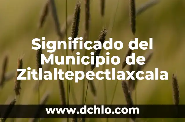 Significado del Municipio de Centroa 7 Significado del Municipio de Zitlaltepectlaxcala