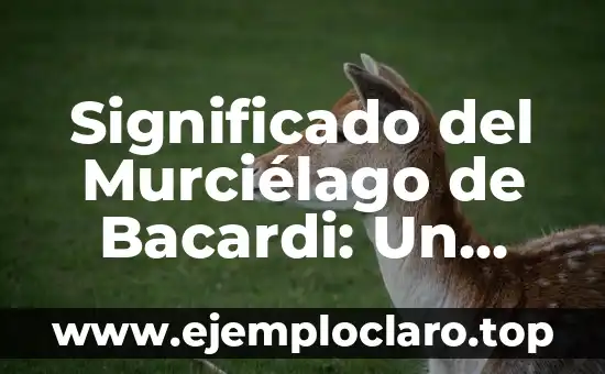 Significado del Murciélago de Bacardi: Un Símbolo Histórico