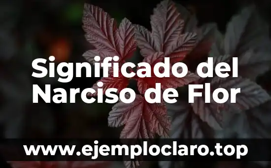 Significado del Narciso de Flor