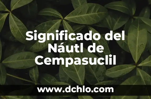 Metafísica de los Números: Descubre el Significado Espiritual de las Cifras 5 Significado del Náutl de Cempasuclil