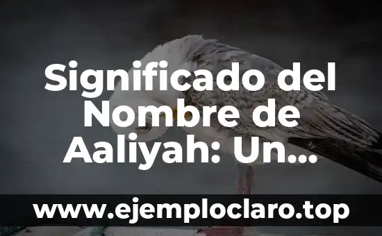 Significado del Nombre de Aaliyah: Un Análisis Completo