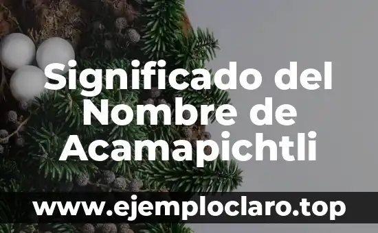 Significado del Nombre de Acamapichtli
