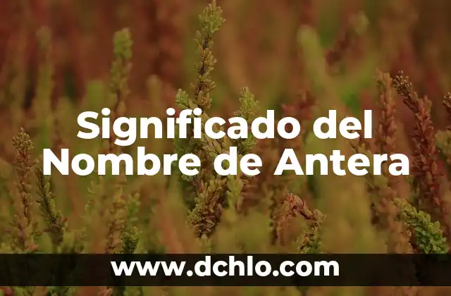 Significado del Nombre de Anit 6 Significado del Nombre de Antera