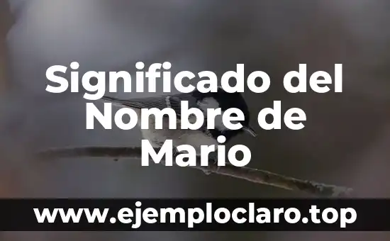Significado del Nombre de Mario
