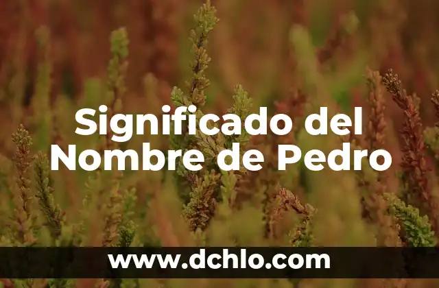 Importancia y significado de examen 6 Significado del Nombre de Pedro