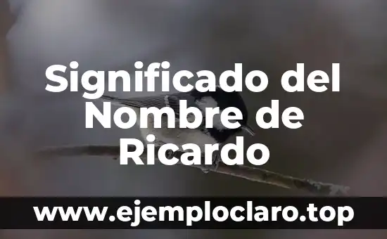 Significado del Nombre de Ricardo