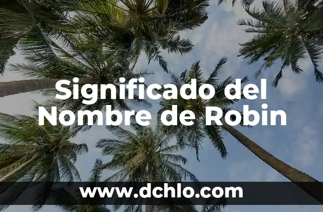 El Significado de Subyacente: Guía Completa y Detallada 5 Significado del Nombre de Robin