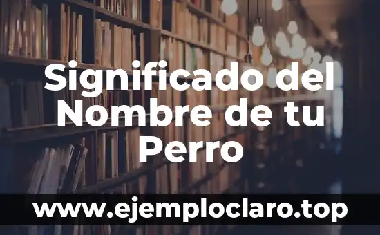 Significado del Nombre de Persona Abril: Orígenes y Curiosidades 7 Significado del Nombre de tu Perro
