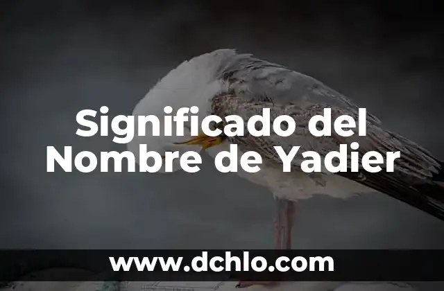 El Significado de Subyacente: Guía Completa y Detallada 4 Significado del Nombre de Yadier