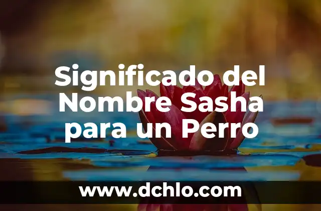 Significado del Nombre Teresita de Jesús 4 Significado del Nombre Sasha para un Perro