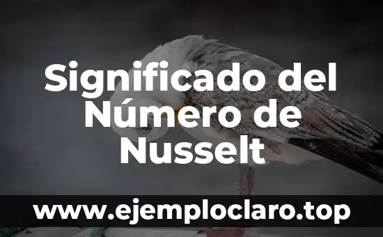 Significado del Número de Nusselt