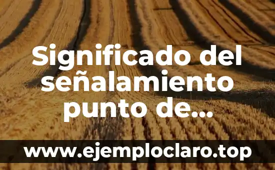 Significado del señalamiento punto de reunión
