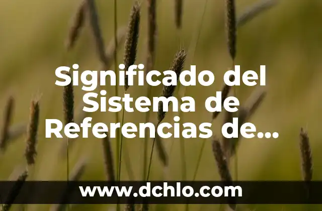 Significado de las Flores de Jazmín: Más Allá de su Belleza 7 Significado del Sistema de Referencias de Información: Una Guía Completa